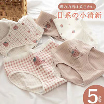 Underwear Lady Pure Cotton Stalls Full Cotton Day Ensemble No Marks Mid-Waist Sweet Girl Student Triangle Shorts Head Summer Thin