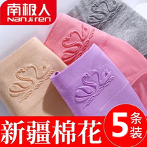 South Pole panties ladies pants mistress pure cotton antibacterial medium-high waist-to-hip closets full cotton thin and large code triangular trouser head