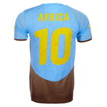 PUMA 2010 African National Unity United Special Edition football uniform unpopular Jersey 736946