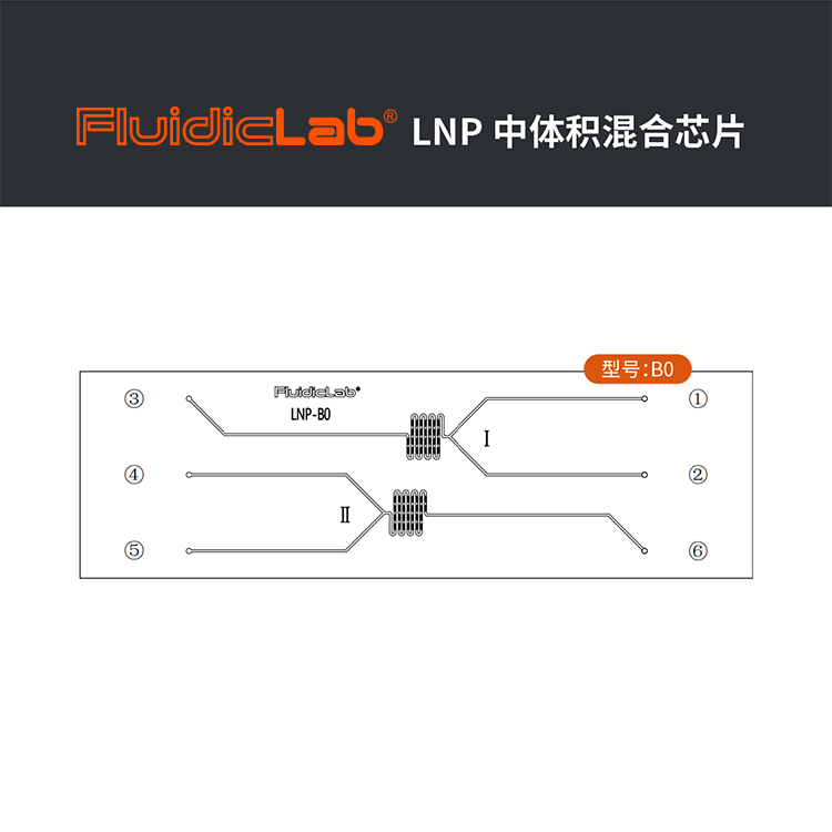 Lnp-B0 Microfluidic Mrna Liposome Synthesis/Lnp Hybrid Chip/Pdms