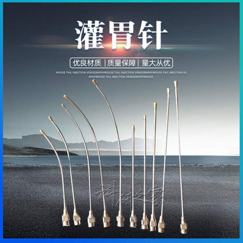 小鼠铜头灌胃针 大鼠灌胃器 鼠针 铜头灌胃管 老鼠铜头灌胃针