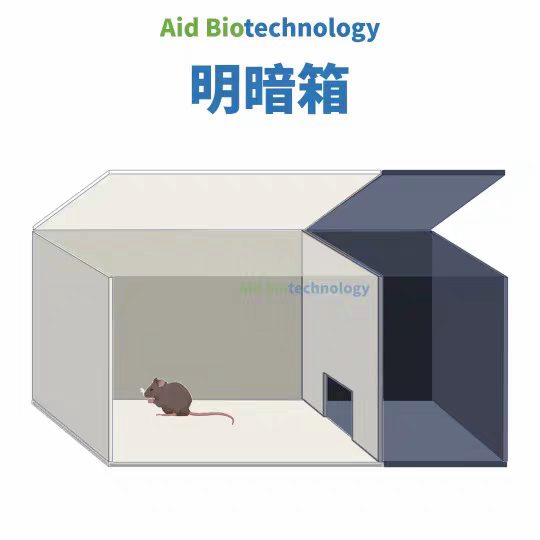 两箱社交箱行为箱生物实验行为学设备大鼠小鼠定制小鼠旷场迷宫