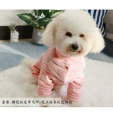 Осень и зимняя плюшевая собака Bichon Bear с бархатной четвероногой одеждой суки