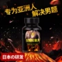 Oyster hàu tinh chất nam xác thực peptide trưởng thành lâu dài Cordyceps có thể có sản phẩm chăm sóc sức khỏe phòng kho báu J - Thực phẩm dinh dưỡng trong nước viên tảo xoắn