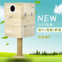 Large parrot breeding box Solid wood vertical incubator Gray Parrot Amazon mini Macaw hatching box
