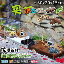 Spider breeding box scorpion acrylic reptile box small snake box beetle guard raising acrylic feeding box snake box