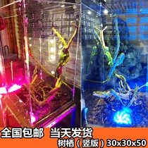 High crown chameleon feeding box Acrylic reptile box Lizard Spider guardian lizard reptile box nationwide