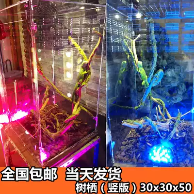 High crown chameleon breeding box Acrylic reptile box Lizard spider palace lizard reptile box nationwide