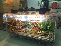 Acrylic pet box coffee table Python lizard large reptile box with top light box heating roller