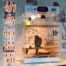 Parrot incubator incubator incubator incubator temperature control acrylic chicks