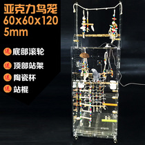 Large acrylic parrot cage feeding cage gray parrot sunflower flower Amazon transparent luxury bird cage 60x60x120