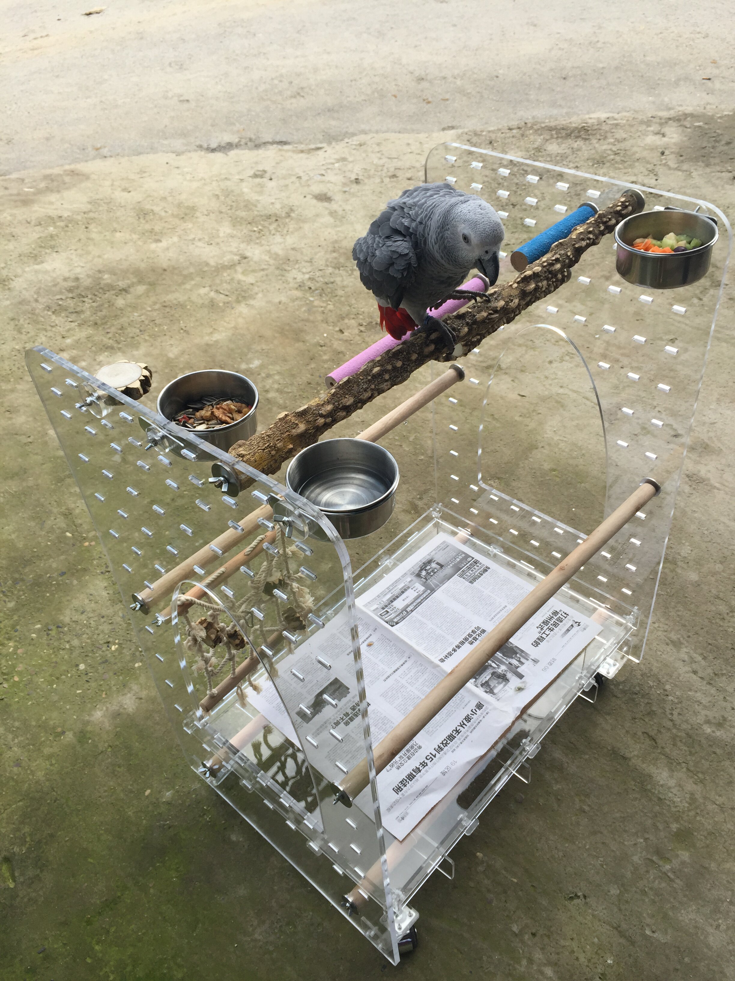 Large Parrot Station Rack Grey Parrot Sunflower Amazon Stainless Steel Station Rack Food Cup Prickly Ash Wood Grinding Paw Rod Amusement Park