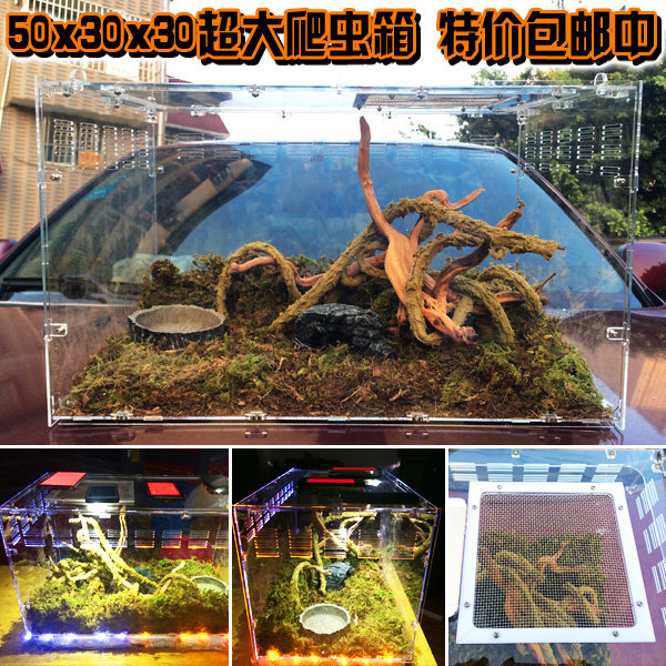 Acrylic crawler box snake box green hyena climbing pet box feeding box large snake box super large climbing box display box