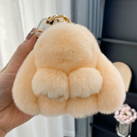 Оранжевый истинный рекс