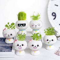 Kindergarten green plant potted plant for lazy people to raise grass head doll creative potted office mini ornaments