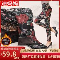 Hongzhirui factory direct plus velvet thickened 2020 camel velvet winter womens warm pants leggings trousers Bai Guihu