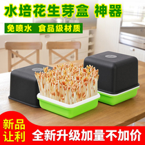 Peanut sprout artifact Hydroponic Peanut sprout planting pot box Bean sprout nursery box Seed seed sprout special plate