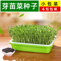 Sprout vegetable seedling relict toon seedling seedling Pea seedling seedling Bean sprout Wheat hydroponic vegetable Radish Wheat grass seedling