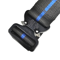 The blue line commuter belt Gen3