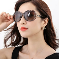 片 Рамку постепенные кусочки чая (высокоопределенные антиультравиолетовые лучи плюс поляризация)