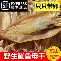 Dongshan Island squid dried mother with eggs and dried seeds raw and dried wild female squid dried maternal seafood dried month-old soup
