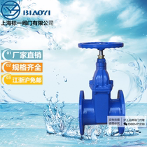 Shanghai Biaoyi Valve RVHX flange soft seal gate valve Z45X concealed stem sewage discharge elastic seat seal tap water gate valve