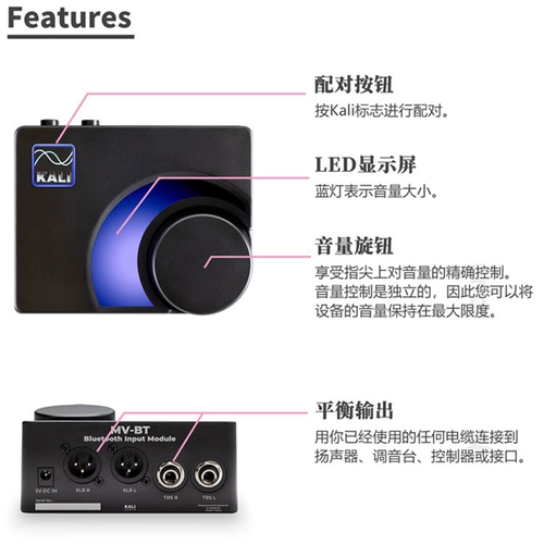 Kali K & L Audio Kelly MV-BT Bluetooth Adapter Balanc