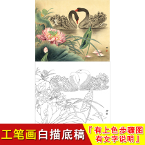 Meticulous white-painting manuscript of lotus with coloring steps and instructions for whispering in the pond physical printed line drawing ZL03