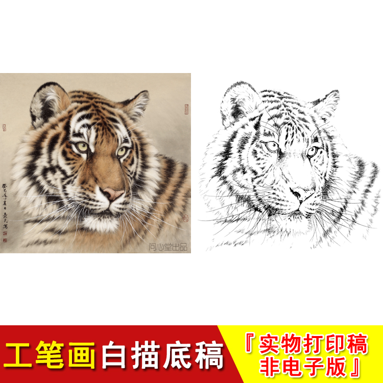 Work stroke white sketch underdraft Tiger Four-ruler Dou Fang Animal Country Painting material to greatly practice the manuscript WH17-Taobao