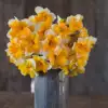 Товары от 鱼儿爱花花