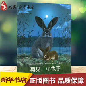 再见,小兔子 (瑞士)约克·史坦纳文(Jorg Steiner) 文;(瑞士)约克·米勒(Jorg Muller) 绘;王星 译 绘本