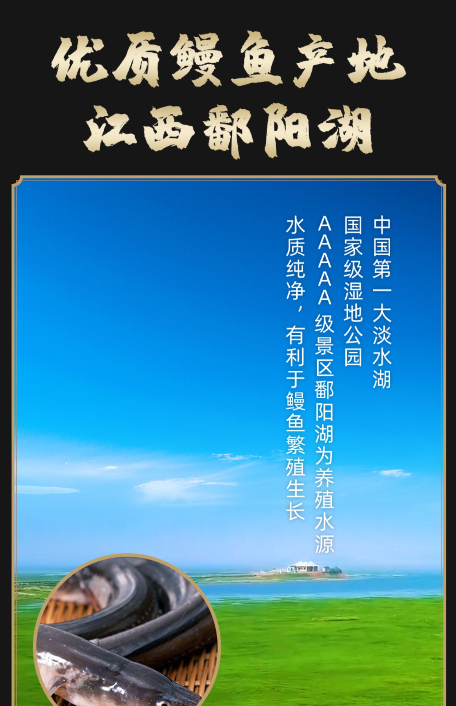 蒲烧网红日式烤鳗鱼整条500g