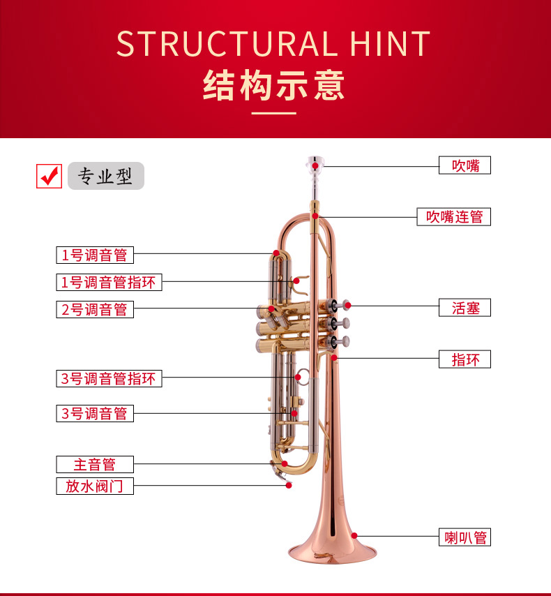Không có nhạc cụ nhỏ sinh viên mới bắt đầu thả b ban nhạc trình diễn chuyên nghiệp số nhỏ nhạc cụ bằng đồng - Nhạc cụ phương Tây đàn morrison