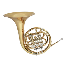Weinuo Childrens French Horn Instrument B-flat VFH-E100 Brass Instrument Childrens Student French Horn Instrument