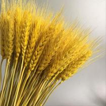 Decorative wheat ear decoration painting golden wheat dried shooting shop set with flower dried bouquet creative Nordic ornament yellow