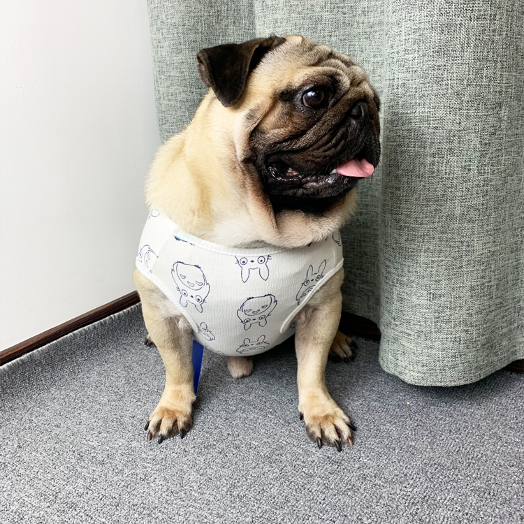 Fardou Bago Vest Bulldog Dresses Chubby Dresses Fat Dogs Clothes Spring Summer New Snow Nery Kirkkie Vest Clothes