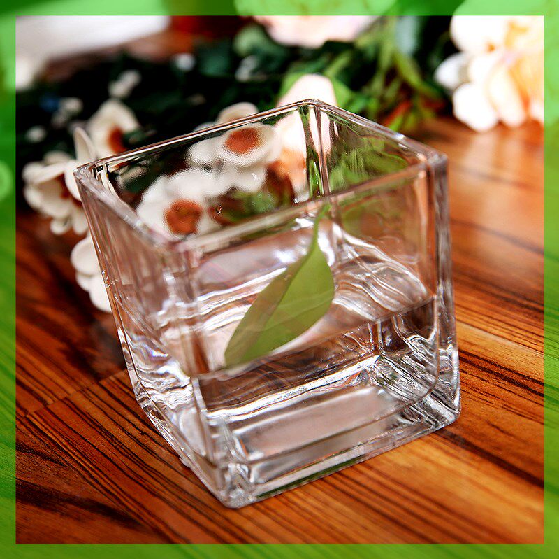 Minimalist large number square vase glass transparent table swing piece hydroponic container gold Ge copper money grass flower pot square cylinder
