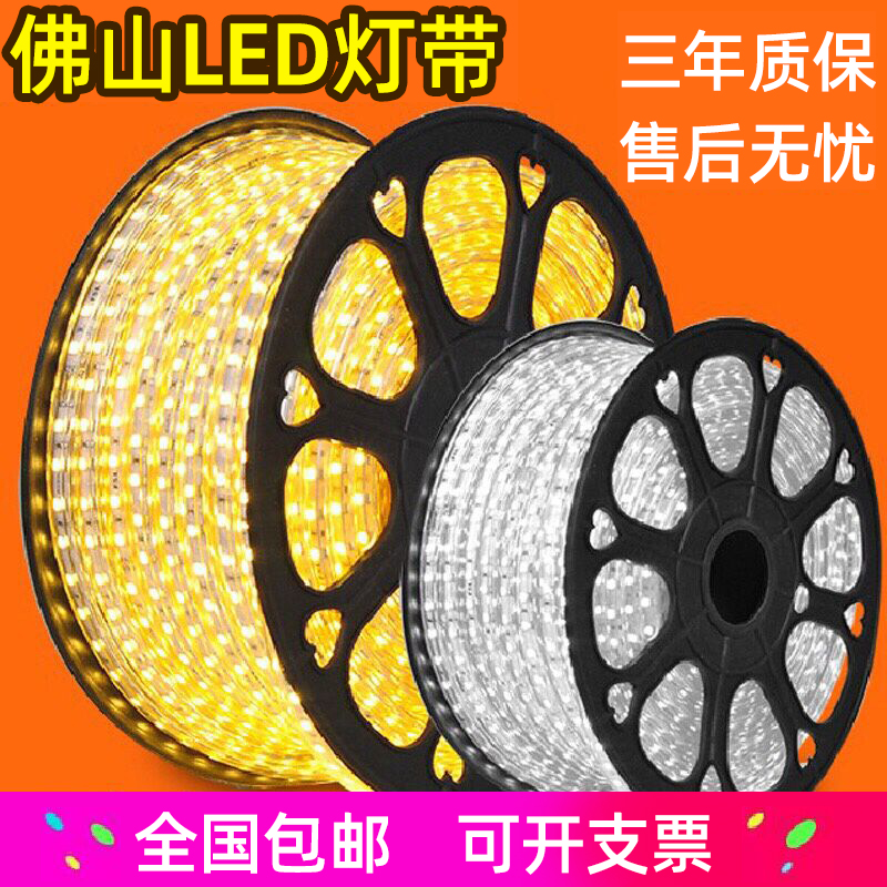 Foshan Lighting LED Lighting with 5050 2835 Double Row Room Ceiling Color Band Color Outdoor Water Resistance Lighting Strip