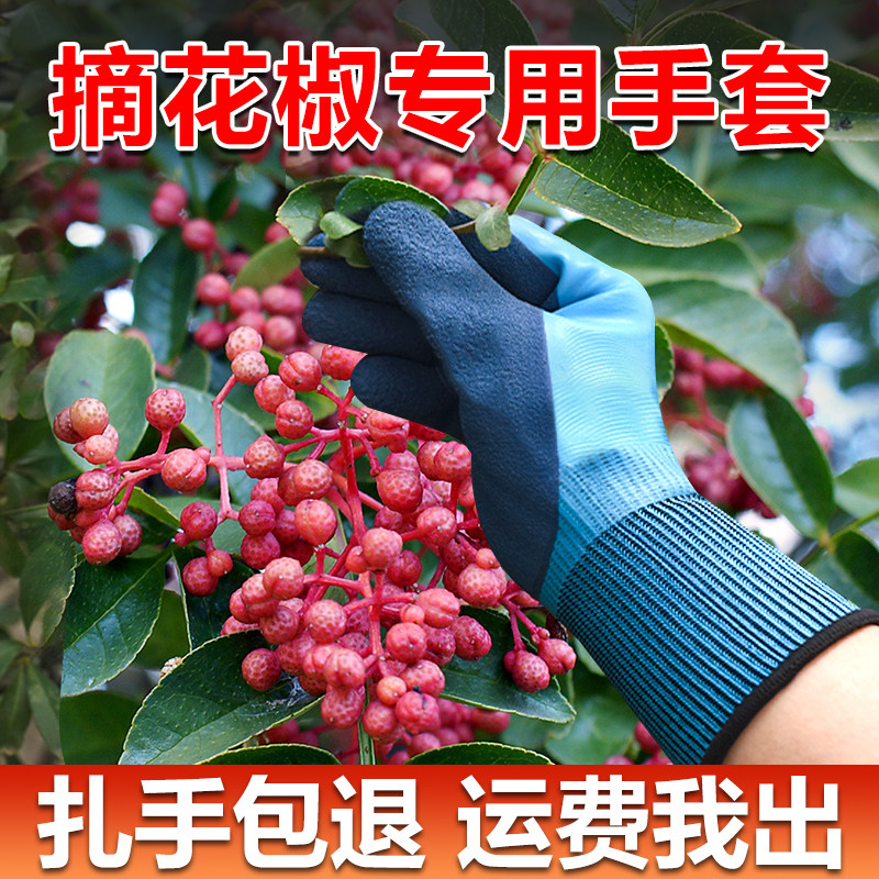 摘花椒专用手套防刺手防扎防割采摘神器劳保工作耐磨防护透气酸枣
