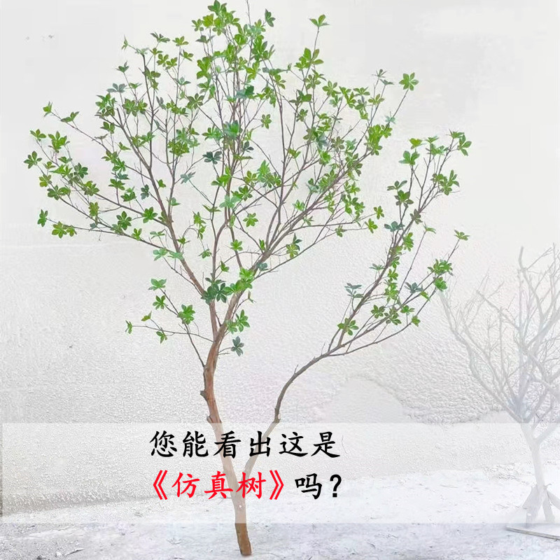 Simulation of Japanese hanging bell tree building view green planting indoor design shop window swing piece green decoration horse drunken wood false tree bonsai