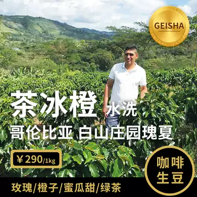 Air lift green summer tea ice orange Gesha Colombia white mountain estate printing grid coffee raw bean washing boutique 1KG