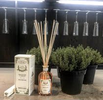 Italy WALLY aromatherapy essential oil Net red hand gift home fragrance indoor air freshener commemorative edition