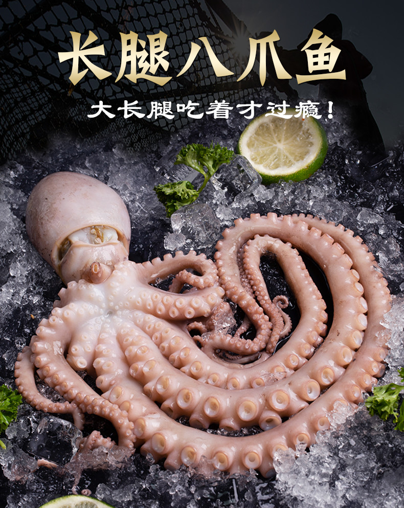 百鲜荟 长腿八爪鱼 1000g 天猫优惠券折后￥83包邮（￥128-45）