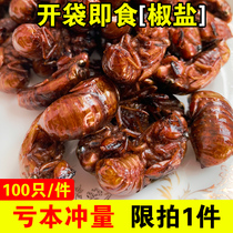 (Open bag) fried to know monkey snacks high protein pregnant women cooked game cicada pupae 100