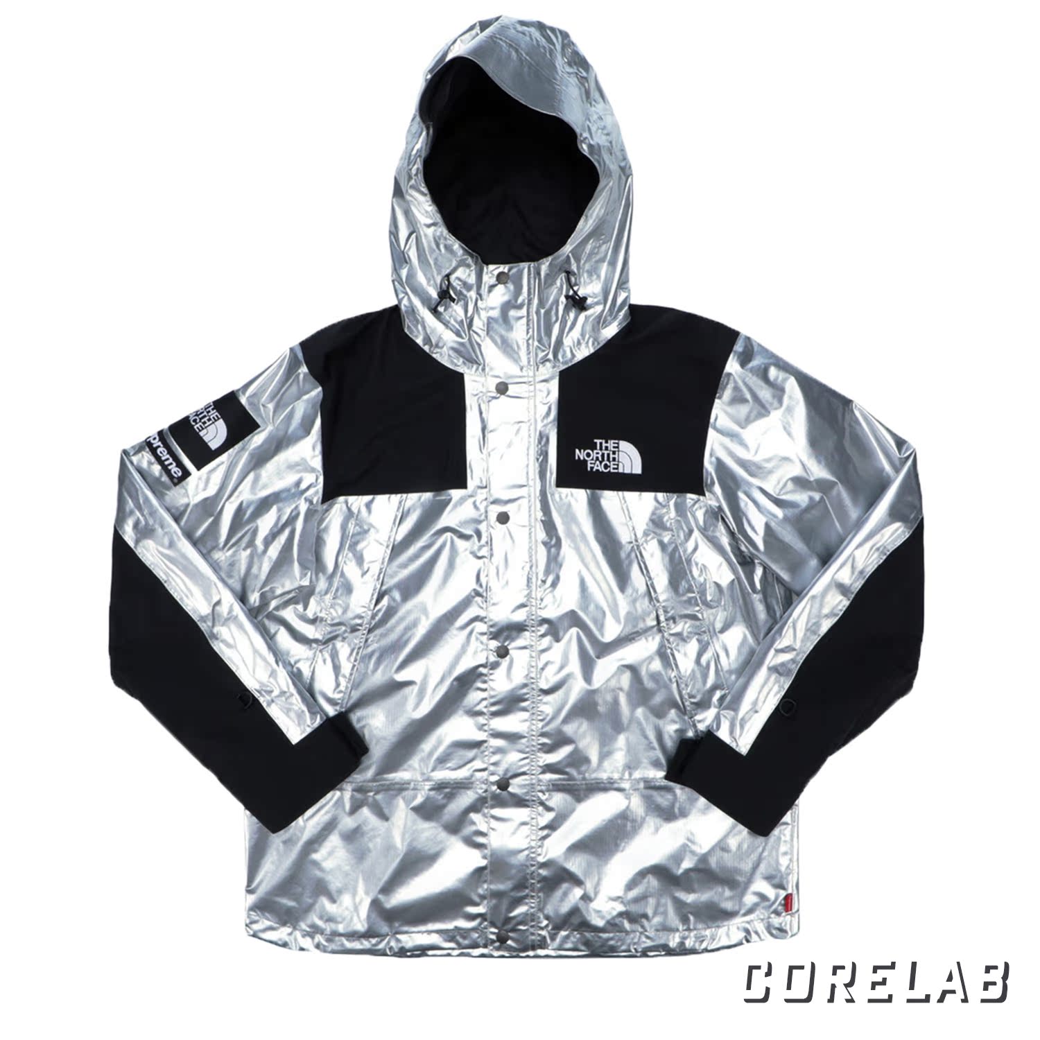 supreme north face metallic parka