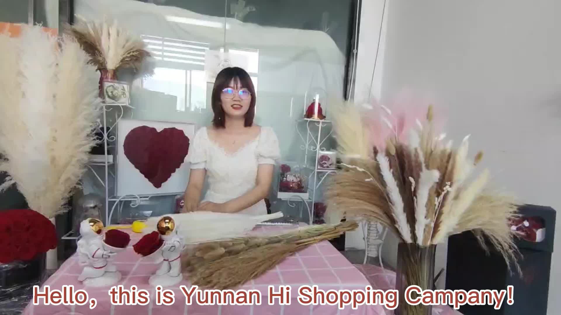 Hot Sell Large Artificial Silk Natural Dried Pampas Grass White Dried