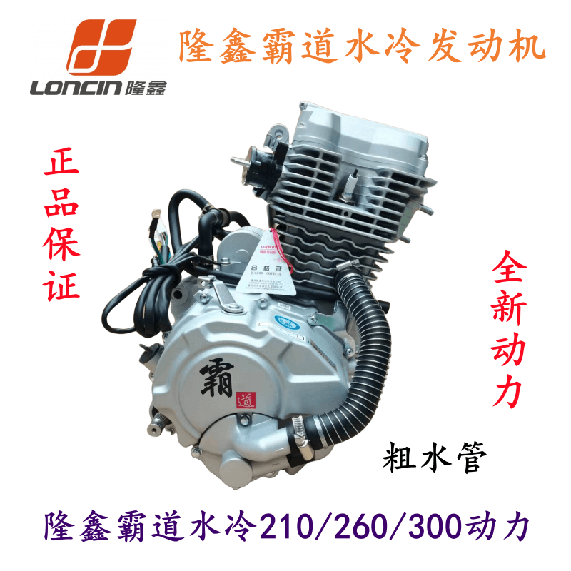 Longxin Power Bully Water Cooled 200210250260300 Engine Assembly Tricycle Engine 2 Generation-Taobao
