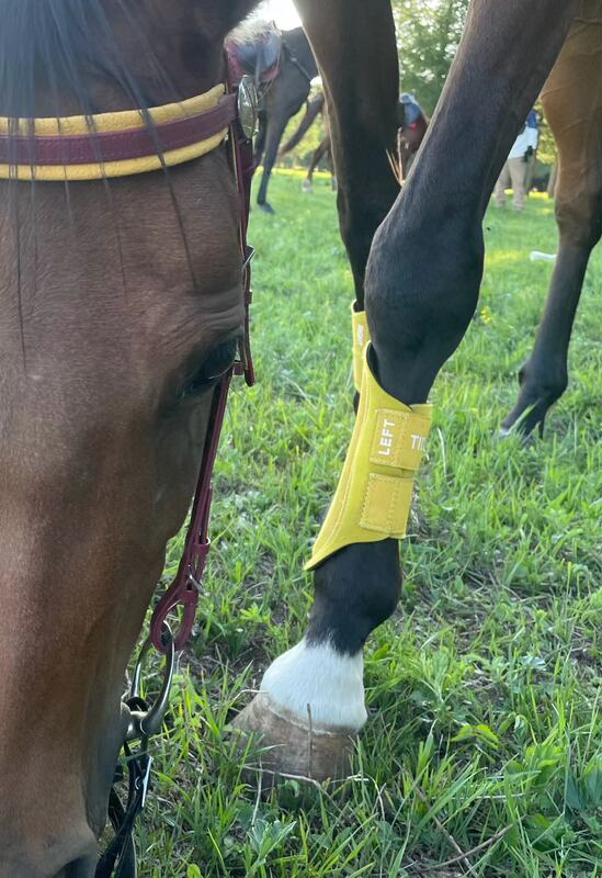 Italian Tidjani Imported Endurance Equestrian Leg Protectors, Horse Leg Protectors, Endurance Race Leg Protectors