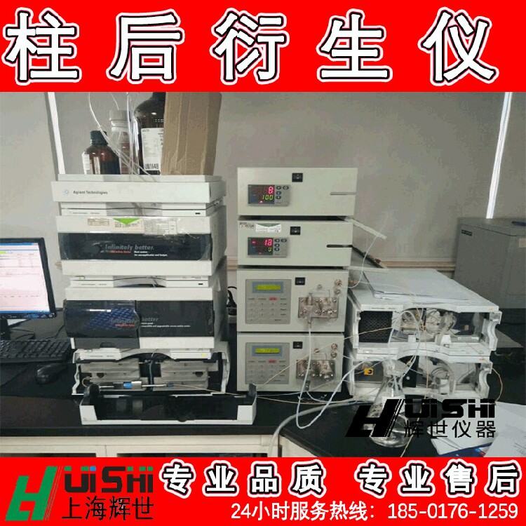 现货多功能上海辉世HST111草甘瞵残留检测柱后衍生装置双泵双反