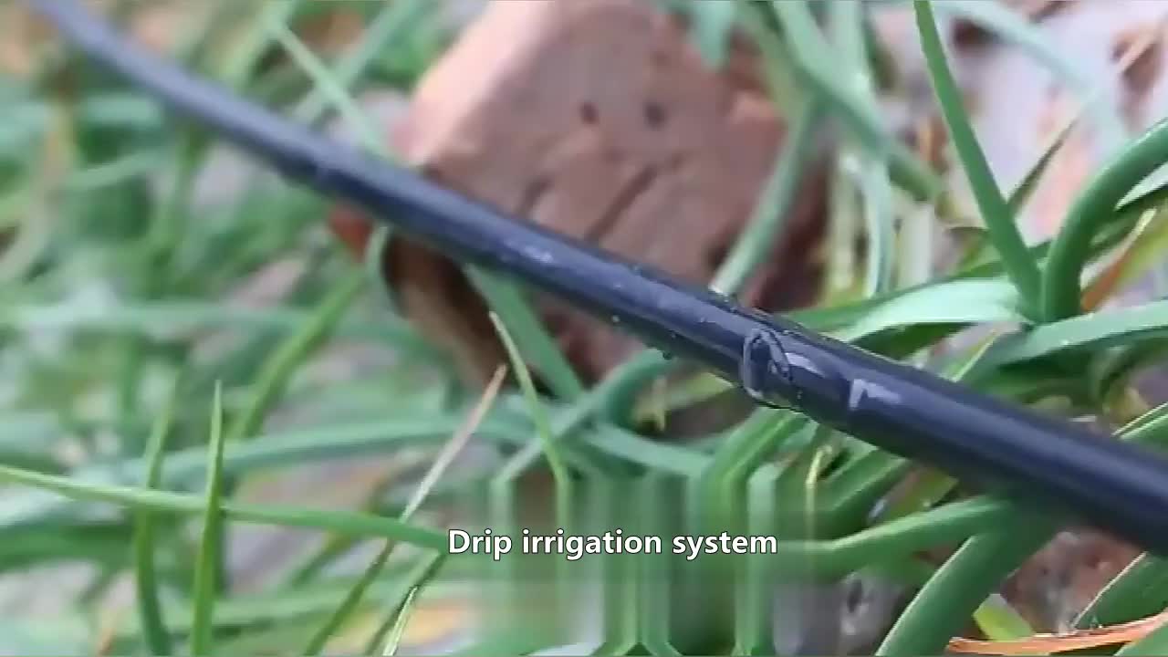 1 Hectare Drip Irrigation Full System Kit Double Outlet 100 Spacing